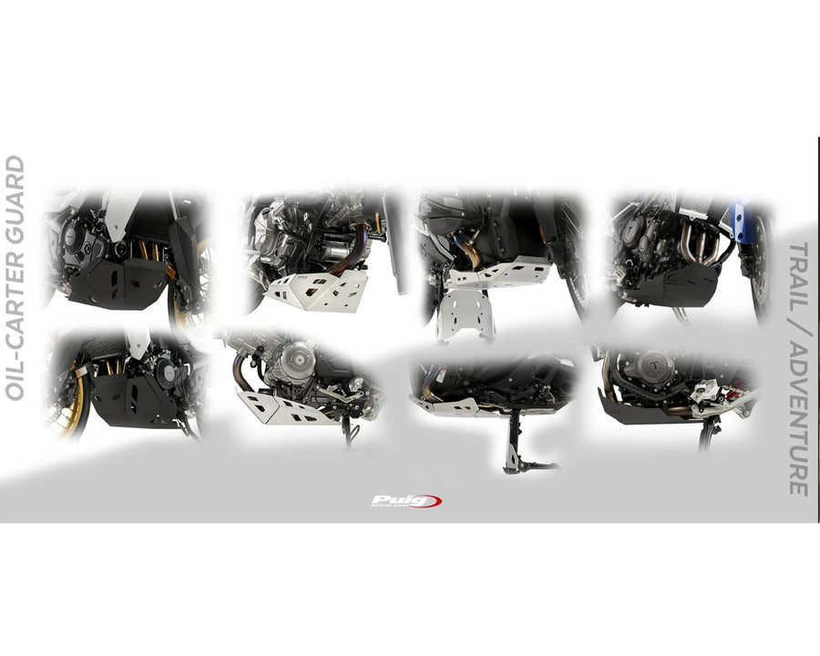 BMW R 1250 GS [2024] – Engine protection – Silver