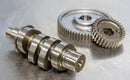 Harley-Davidson FLRT 1868 Freewheeler 114 [2021-2023] - 590G Nockenwellensatz für Zahnradantrieb – Bild 10