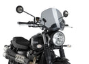 TRIUMPH SCRAMBLER 900 [2025] – ALU faceplate – silver-11