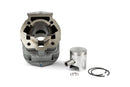 Aprilia RX 50 2T D50B1 [2006–] - cylinder 50cc