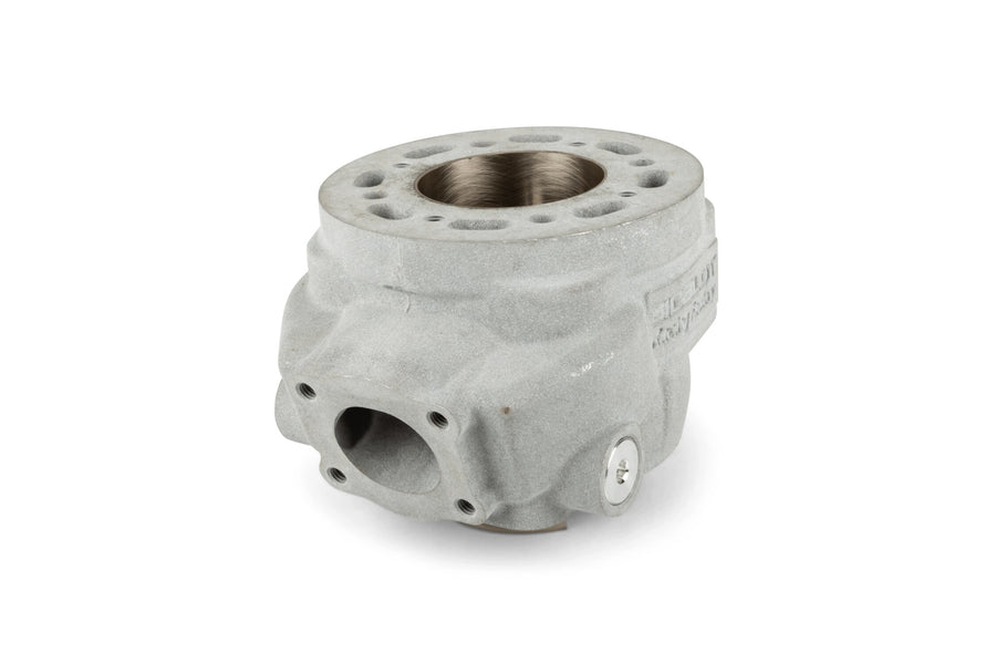 Rieju RR Enduro 50 2T AM6 - Zylinderkit Racing Factory WR 90cc