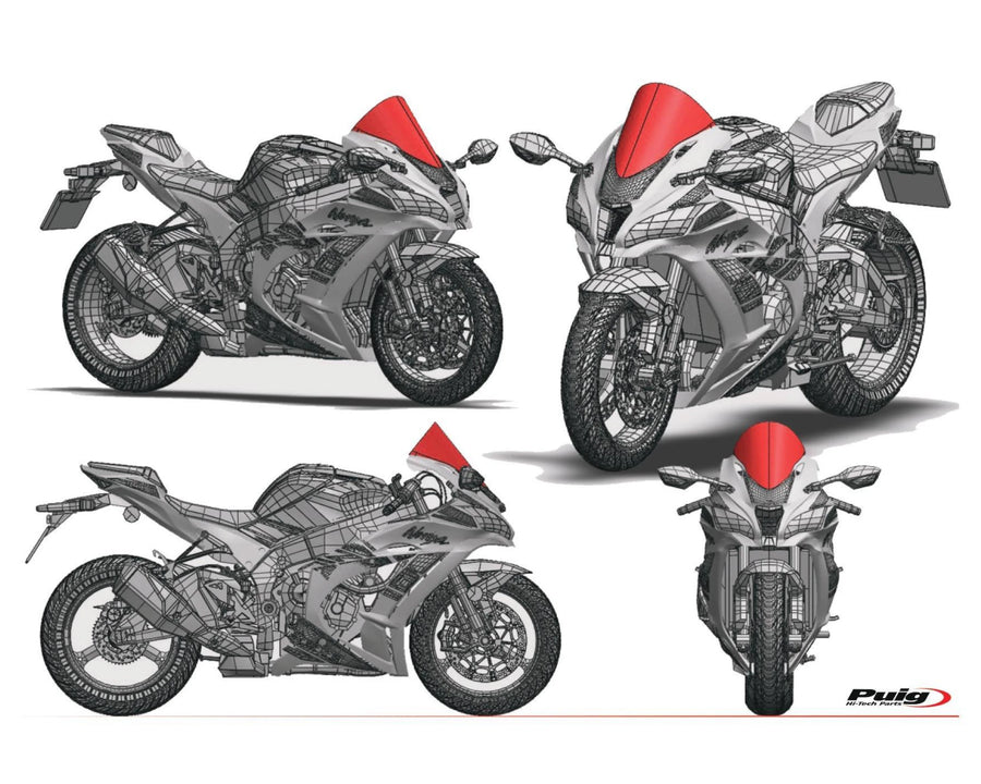 DUCATI PANIGALE V2 [2024] – R-Racer Screen – Transparent