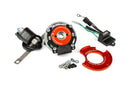 Aprilia RX Enduro 50 2T D50B0 [2007–] - Inner rotor ignition MK2