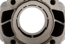 Aprilia RX 50 2T D50B1 [2006–] - Cylinder kit Testa Rossa 100