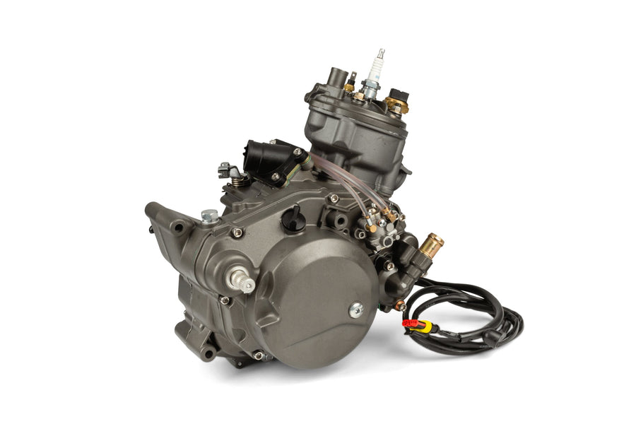 Generic Trigger SM 50 2T AM6 - Komplettmotor