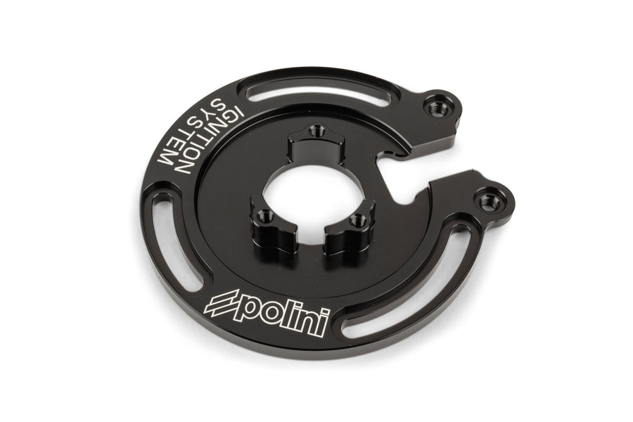 Aprilia RX Enduro 50 2T D50B0 [2007–] - Digital racing ignition with light