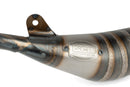 Aprilia RX Factory 50 2T - Auspuff Racing Line 80 90 Lila