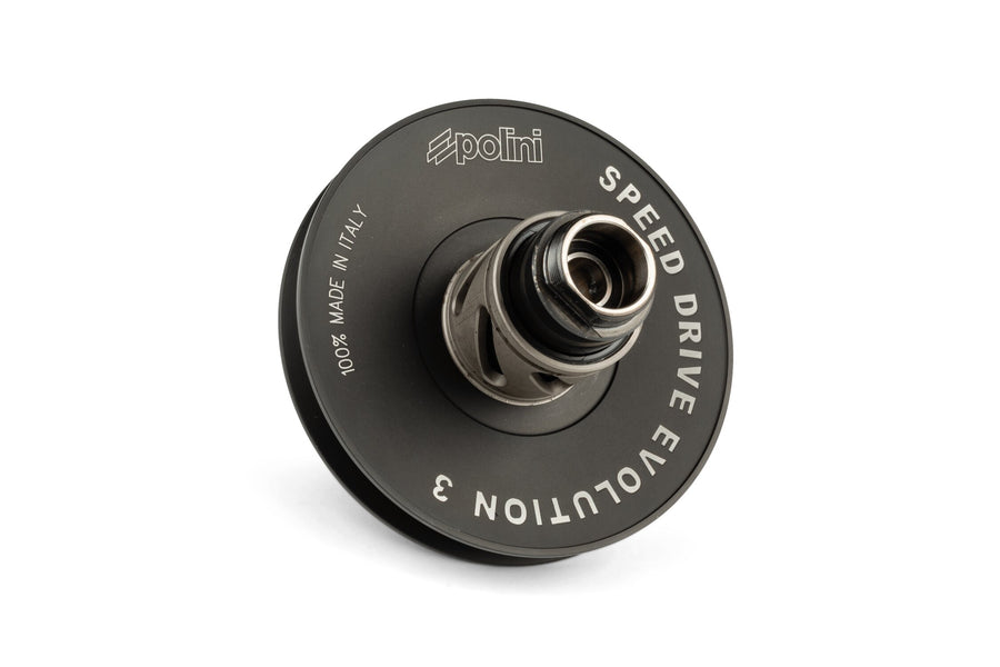 Aprilia SR Netscaper 50 2T LC - Speed ​​Drive Evolution 3 converter kit
