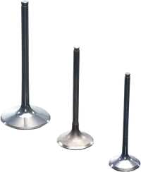 GAS GAS EC 450 [PROX] – Titanium valve