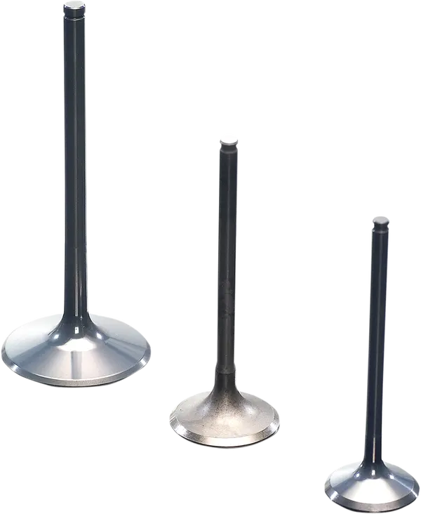 GAS GAS EC 450 [PROX] – Titanium valve