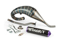 Aprilia RX 50 2T D50B1 [2006–] - Exhaust R/T High Black Purple