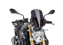 BMW R 1200 R [2018] – New Generation Touring – Transparent-2
