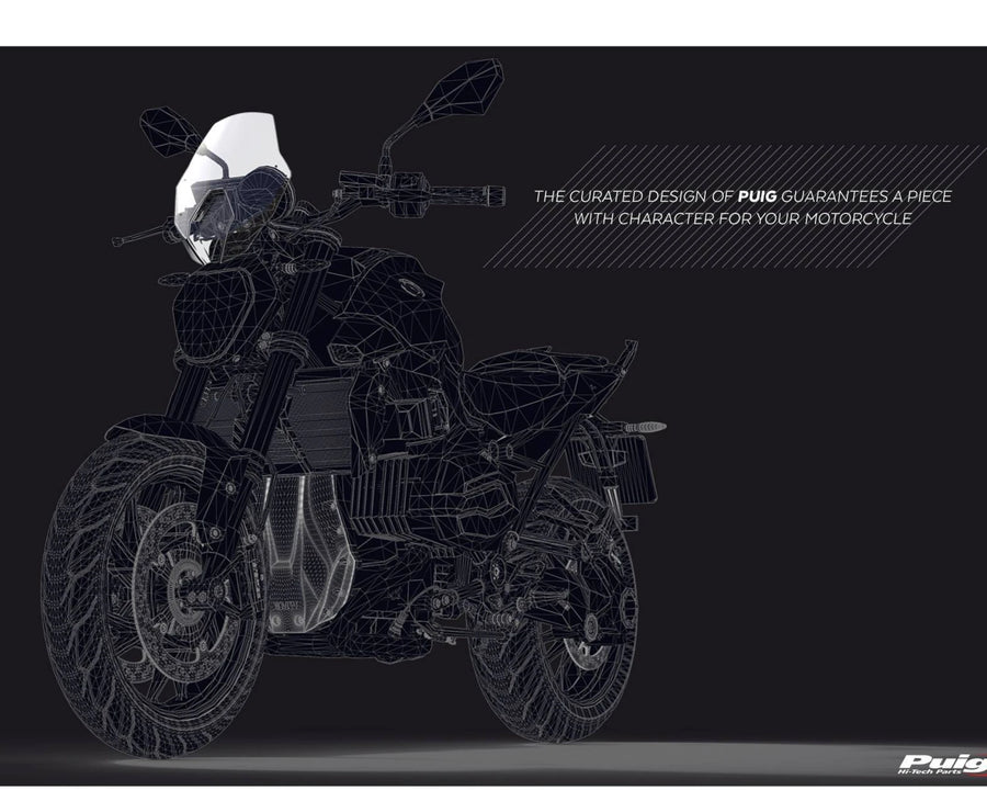 BMW R 1250 R [2018] – New Generation Sport – Tinted