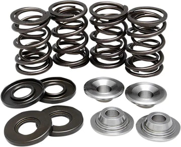 BMW R 75/6 [KIBBLEWHITE] – Valve spring kit