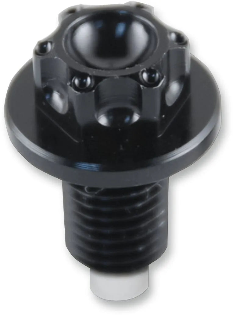 Suzuki Hayabusa [PSR] - magnetic oil drain screw