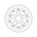 Honda Cbr 900 [BREMBO] - Series Oro round floating brake disc-2