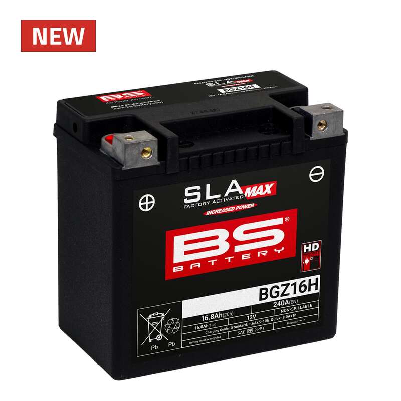 BMW R 1200 GS K25 [BS Battery] - maintenance -free motorcycle battery