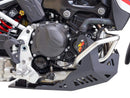 Bmw F 900 900 [AXP] - Adventure underrun protection - PE-HD 8mm-3