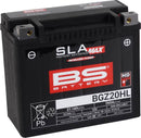 Harley Davidson Fls [BS BATTERY] - SLA Maintenance Free Battery Factory Activated - BGZ20HL-1