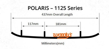 POLARIS 800 IQ RMK [2009] - Snowcross Runner