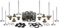 Harley-Davidson FLSB 1750 Softail Sport Glide 107 [2022, 2024] - Titanium Ventilfederhalter-Kit – Bild 5