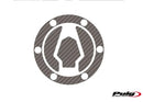 BMW G 310 GS [2023] – Side tank protector – Transparent-2