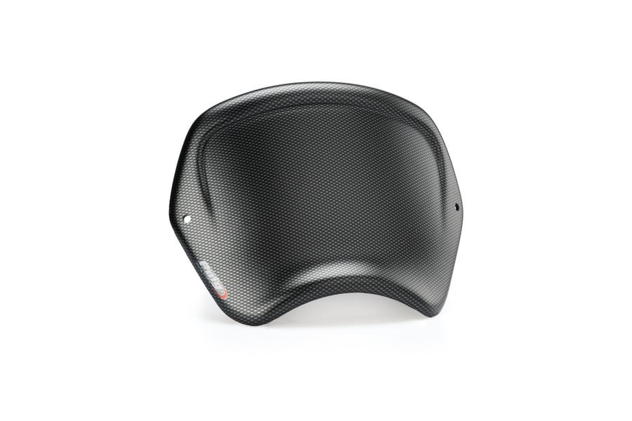 HARLEY DAVIDSON SPORTSTER FORTY-EIGHT XL 1200 X [2020] - Front panel ABS