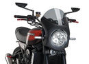 KAWASAKI Z 900 RS SE [2025] – Naked fairing windshield – tinted-1