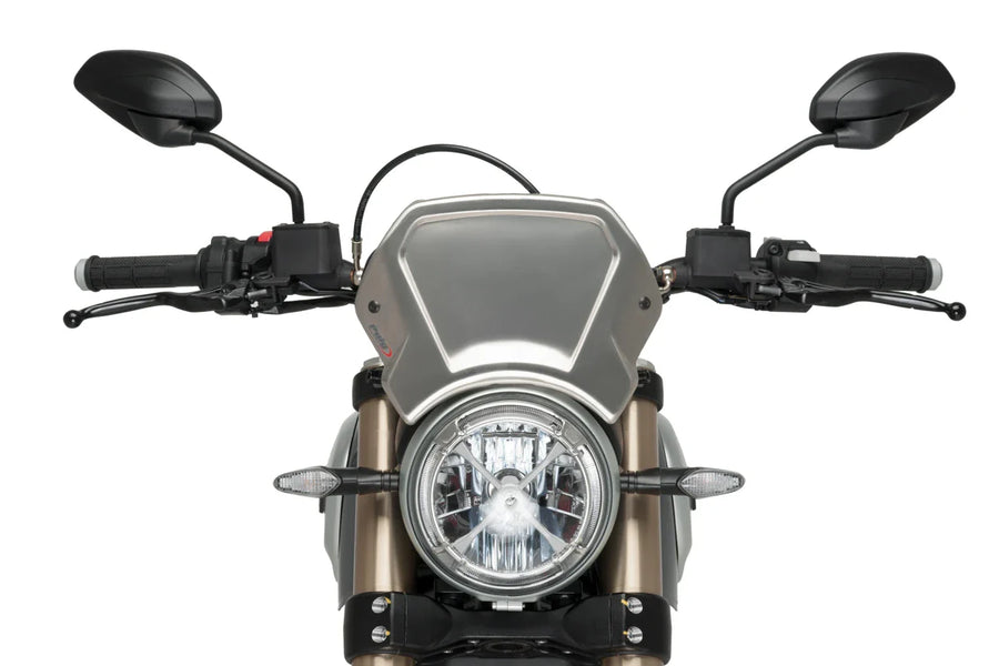 DUCATI SCRAMBLER 1100 DARK PRO [2025] – ALU faceplate – silver