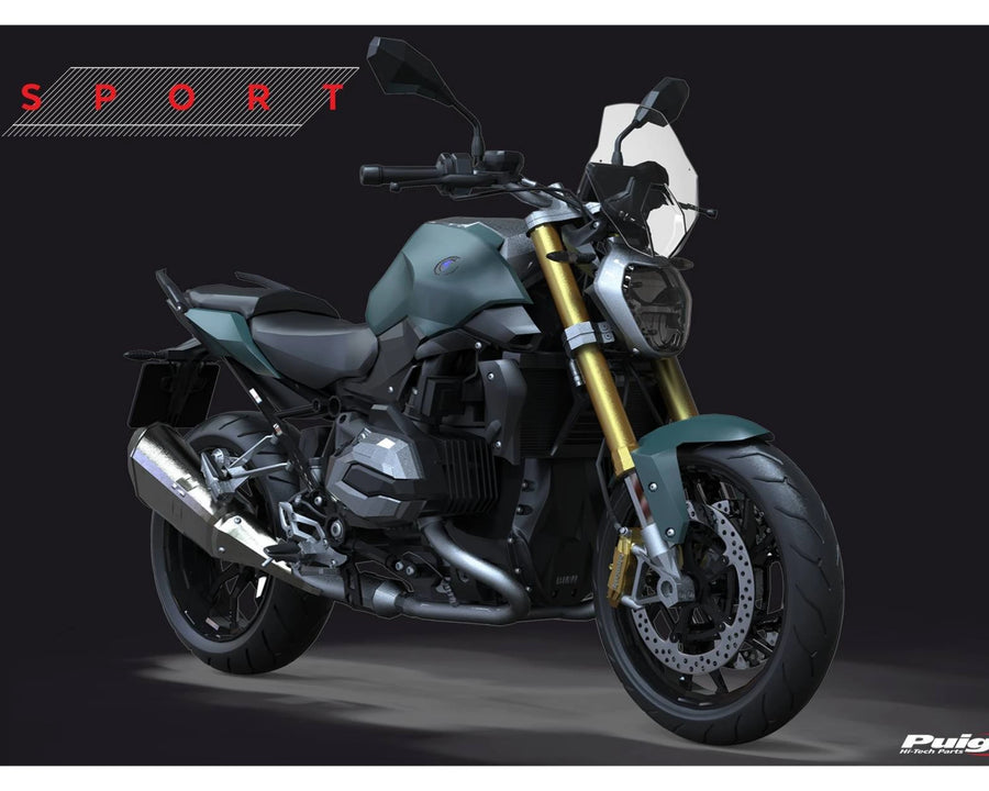BMW R 1250 R [2018] – New Generation Sport – Tinted