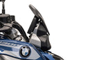 BMW R 1300 R Performance [2025+] - Carbon-Windschild