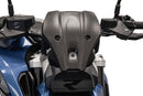 BMW R 1300 R Option 719 Kilauea [ab 2025] - Carbon-Windschild