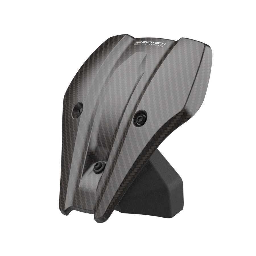 BMW R 1300 R Exclusive [2025+] - Carbon-Windschild