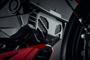 Ducati Monster 950 SP [ab 2023] - Motorschutz