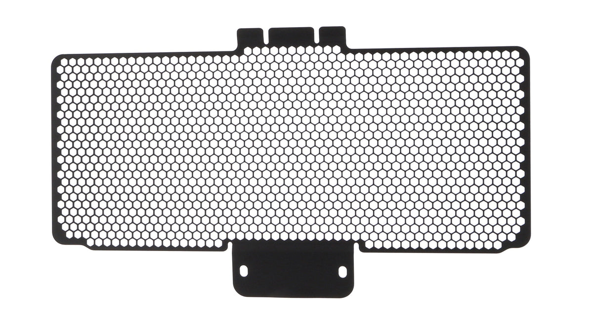 Ducati Panigale V2 Superquadro Final Edition [2025+] - Oberer Kühlerschutz – 360° Ansicht 11