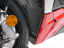 Ducati Streetfighter V2 [2022–2024] - Oberer Kühlerschutz