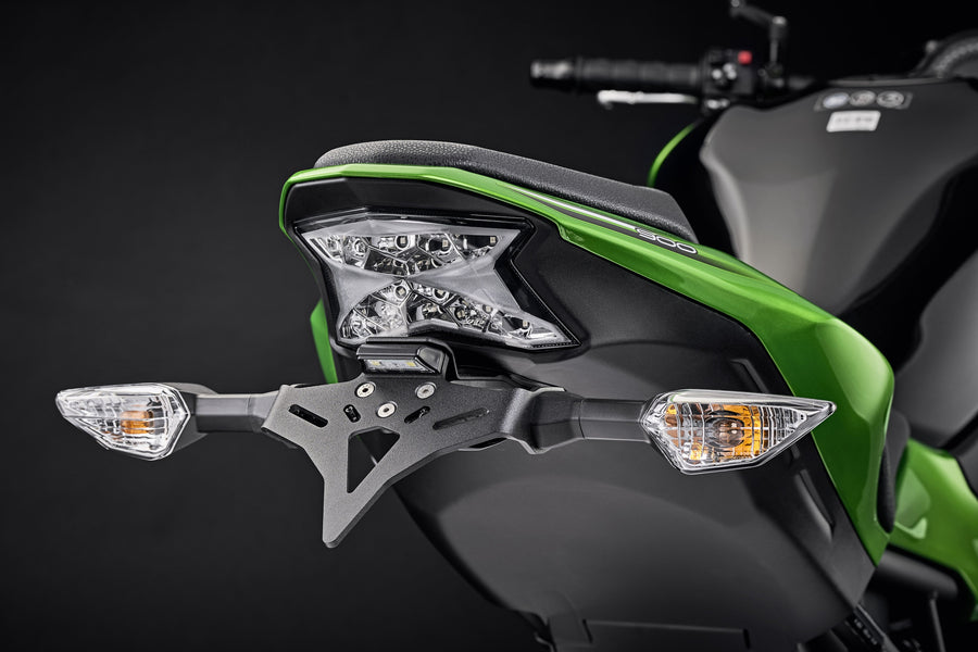 Kawasaki Z900 [2017–2024] - Kennzeichenhalter