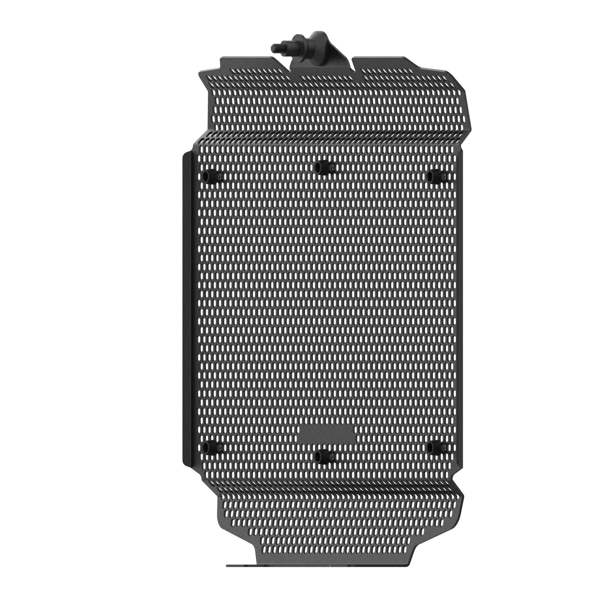 Moto Guzzi V100 Mandello S [2023+] - Kühlerschutz – 360° Ansicht 15