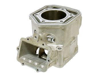 SKI DOO MXZ X 600 HO SDI [2007-2008] - Cylinder for snowmobiles