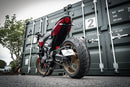 Triumph Trident 800 [2026+] - Schwingen-Kennzeichenhalter