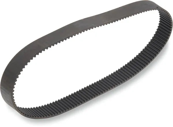 Daytona 1200 [BELT DRIVES LTD.] – Primary Drive Belt Replacement