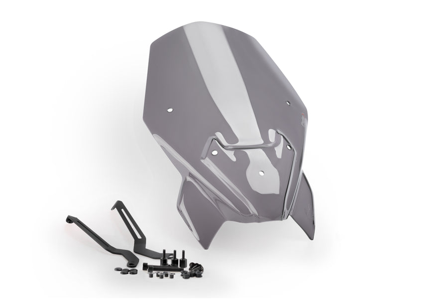 BMW F 900 R [2024] – New Generation Touring fairing window – tinted