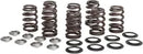 Harley-Davidson FLHTCUTG 1868 Tri Glide Ultra 114 [2023-2024] - Titanium Ventilfederhalter-Kit – Bild 8