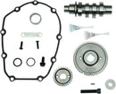 Harley-Davidson FLRT 1868 Freewheeler 114 [2025] - 465 Nockenwellen-Kit – Typ: Getriebezahnrad – Bild 2
