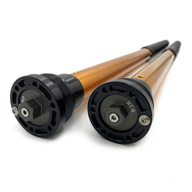 BMW R 12 G/S [2025-2026] - Rally Race Cartridge BMW R12 G/S ab 2025 (- 20mm niedrige Version)