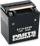 BMW F 650 GS Dakar [PARTS EUROPE] – Parts Europe Battery