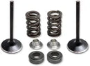 Yamaha LB 80 [KIBBLEWHITE] – Einlass Edelstahl-Umrüstventil und Feder-Kit