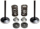 Yamaha LB 80 [KIBBLEWHITE] – Einlass Edelstahl-Umrüstventil und Feder-Kit