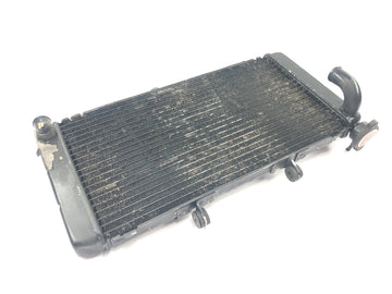 Honda CBR 900 RR SC28 [1995] - Radiator water cooler radiator network - 0