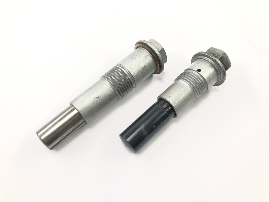 BMW R 1150 R R21 [2001] - Steuerkettenspanner Paar
